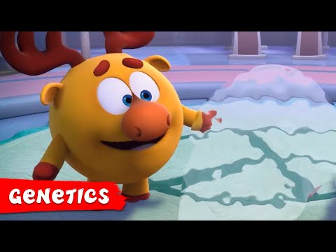 PinCode | Amazing episodes about Genetics | Cartoons for Kids