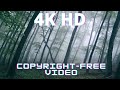 Nature Video 1 Copyright Free Video Download Links In Description