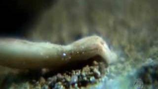 Kenny Chesney - Who You&#39;d Be Today