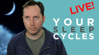 Questions February: Chronotypes - How Your Sleep Cycle Determines Your Success