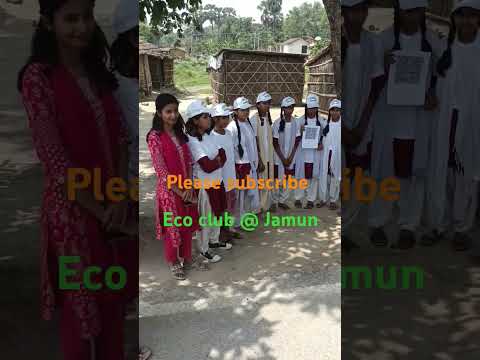Eco club activities @ Jamun Tree