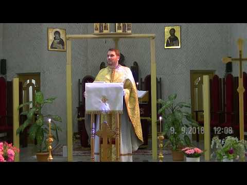 Pr. Iulian Paul Isip - Convorbirea lui Iisus cu Nicodim