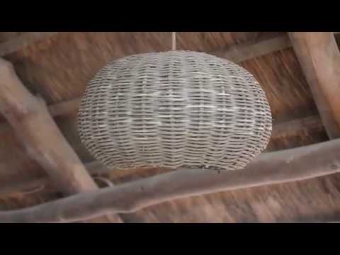 Prodígio - Última Vez