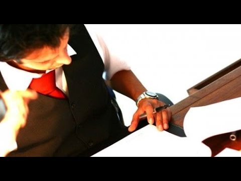 Tv7 con Voi del 29/01/2015 - Il mondo dei liberi professionisti (2 di 3)