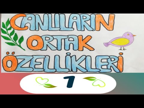 , title : 'CANLILAR ORTAK ÖZELLİKLERİ 1 (9.SINIF)'