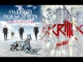 Greyhound Bangarang - Swedish House Mafia vs ...