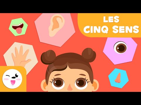 Les cinq sens pour les enfants - Éducation infantile