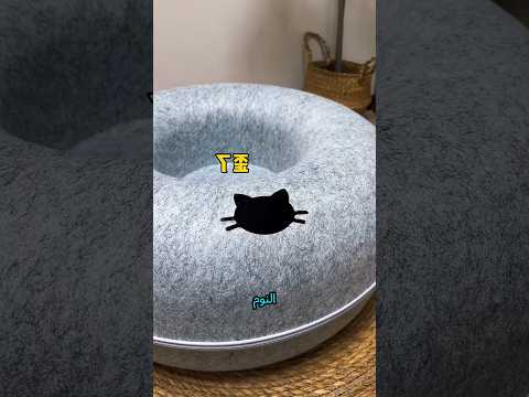 😹 عندما تريد السرير... وليس وقت النوم! 😂🛏️#shorts #viral