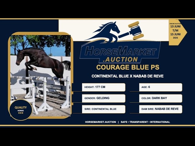 Courage Blue PS Z