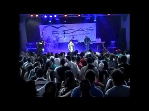 Festa video
