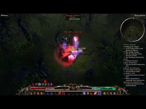 DW Chaos - Rah'Zin Witch Hunter -  Rav 6m