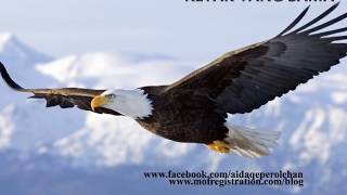 Download lagu RAJAWALI TERBANG TINGGI LIRIK mp3