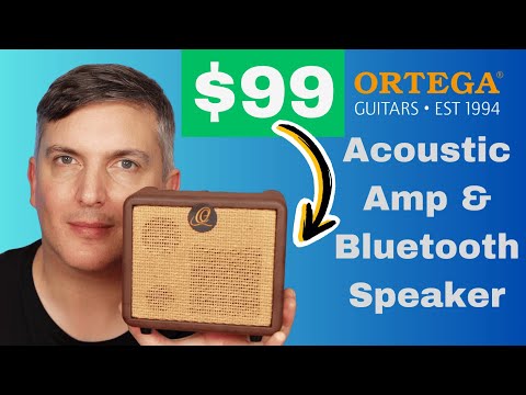 Ortega Ptwo Acoustic Amp & Bluetooth Speaker Review