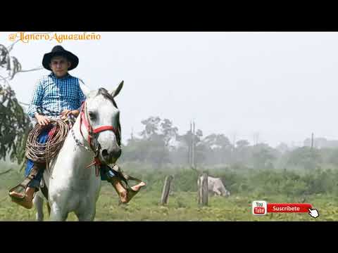 ALLI DONDE YO ME CRIE  -  SERGIO ACOSTA