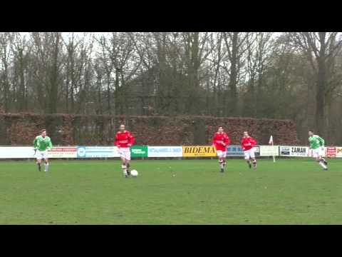 28 februari 2011: Clinge - Patrijzen.