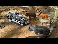 Centy Toys Car Crash Compilations Ultimate Car Crashes Tractor Trailer For Toddler Dream Toys XYZ