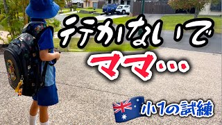 正直つらかった。毎朝泣く息子と向き合った日々