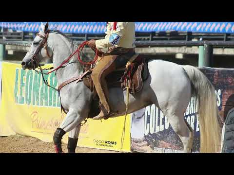 El Señor Del Coleo "MARTÍN MÁRQUEZ"