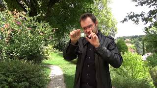 La magie au plus près des yeux