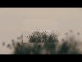 Crystal Castles - Birds (popping removed/reduced)