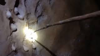 Download lagu harvest of natural white swallow's nest cave mp3 Download lagu harvest of natural white swallow's nest cave mp3