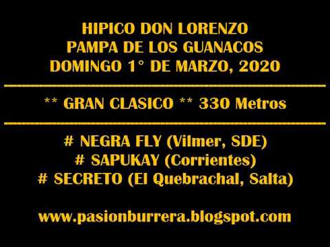 Secreto  vs Sapukay vs  Negra Fly