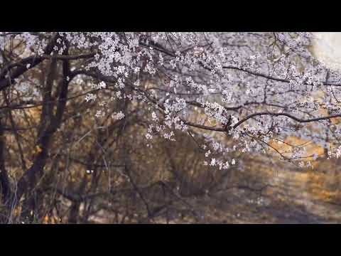 Aa Devara Sundara...|Lokesh B G| Bhavayaana 29