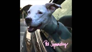 Pet Symmetry - A Detailed and Poetic Physical Threat to the Person Who Intentionally Vandalized...