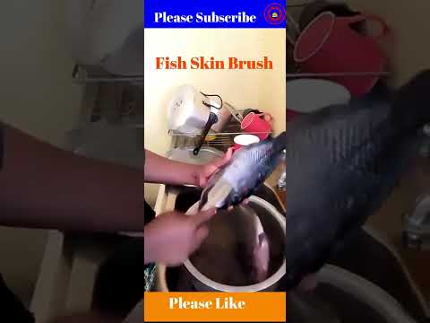 Stainless steel fish scale remover