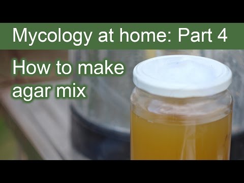 download lagu mp3 mp4 Agar Mix, download lagu Agar Mix gratis, unduh video klip Agar Mix