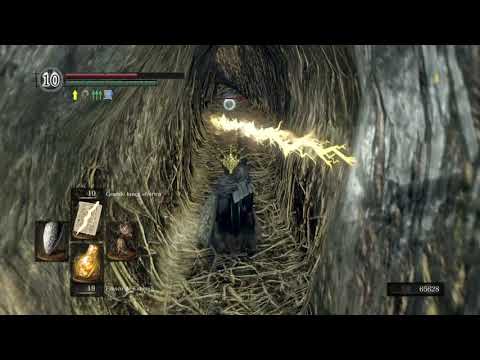 DARK SOULS™ REMASTERED - How to get the 10 crystal lizards in the Great Hollow