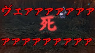 #5 人間ってこんな声出るんですよ【隻狼】緩い縛りで2週目