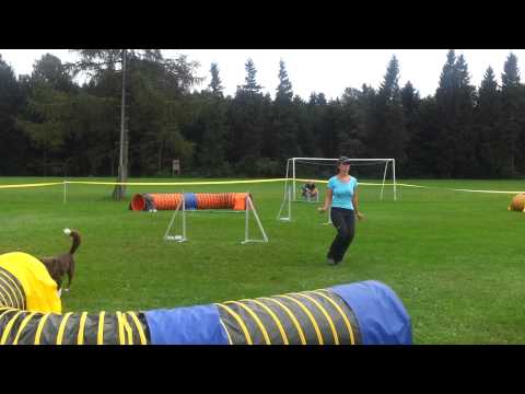 4. LM OÖ/Sbg am 15.09.2013