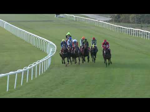 2018.10.07. 08. futam - MAGYAR ST. LEGER (HUN Gd-2) (NGL-X.)