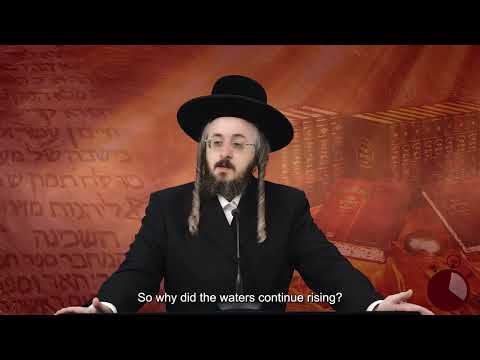 רגע קדוש מהאור החיים תשפ"ג - פרשת נח יום ג'