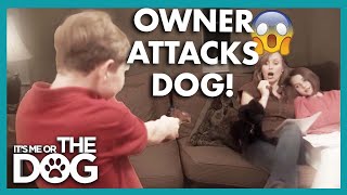 Owner Shoots Poodle with Toy Gun🔫  | It’s Me or The Dog