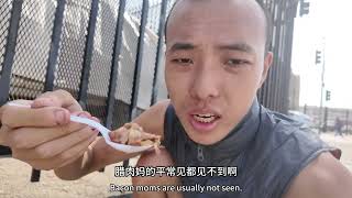 [討論] 美國流浪漢也太爽