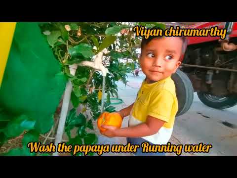 Eat 1 papaya/month || Viyan Chirumarthy|| Know the Nutrients of papaya || Papaya Fruit| knowledge||