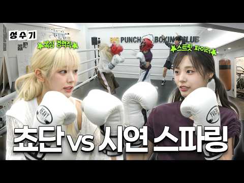 QWER 집안 싸움?! 쵸단vs시연 복싱 스파링 대결 🥊 [성수기 EP.38]