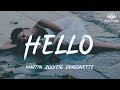 Martin Solveig Dragonette - Hello [ lyric ]
