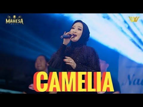 Camelia anisa rahma