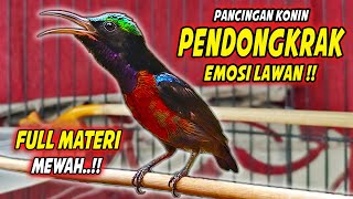 Download lagu KOLIBRI NINJA GACOR FULL ISIAN TEMBAKAN BELALANG EMAS !! MASTERAN KONIN BAHAN FULL MATERI MEWAH mp3