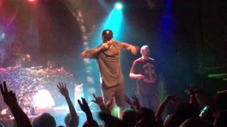 Aesop Rock Mystery Fish