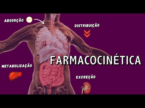 Pharmacokinetics - From Absorption to Excretion