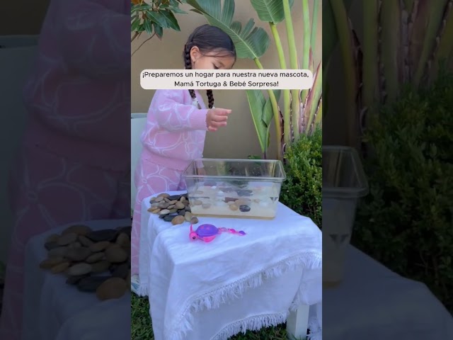 Vídeo relacionado con Zappi Co Peluche 100% Reciclado de Tortuga Marina (33cm de Ancho) Suave, Mullido, ecológico, colección de Animales para recién Nacidos Primer Hijo