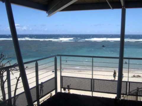 babylusion-coqlacour3 lo roi coq