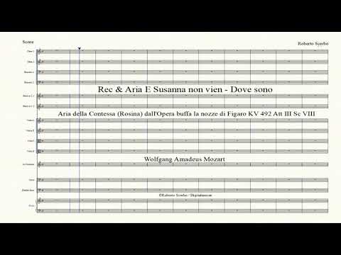 Rec & Aria E Susanna non vien - Dove sono - Opera buffa Le nozze di Figaro KV492   WA Mozart