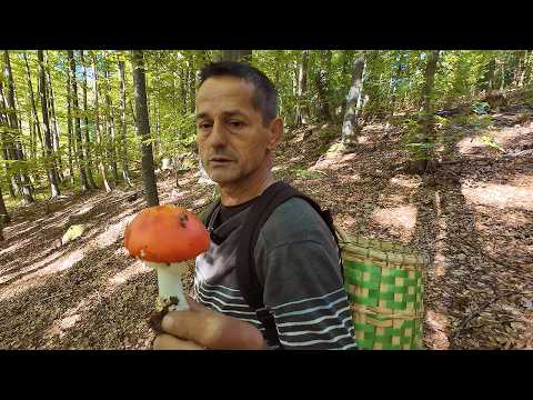 Kralj vrganja ne propušta prilike, zarađuje koliko hoće