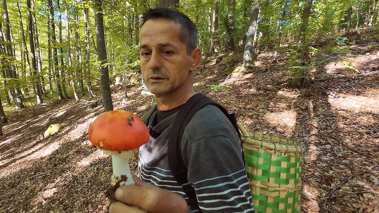 Kralj vrganja ne propušta prilike, zarađuje koliko hoće