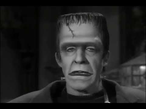 La Familia Monster    Herman monster, fotografo